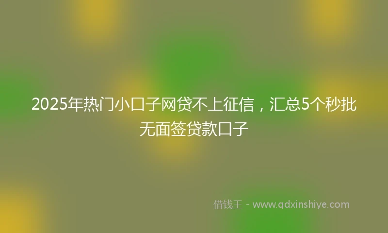 2025年热门小口子网贷不上征信，汇总5个秒批无面签贷款口子