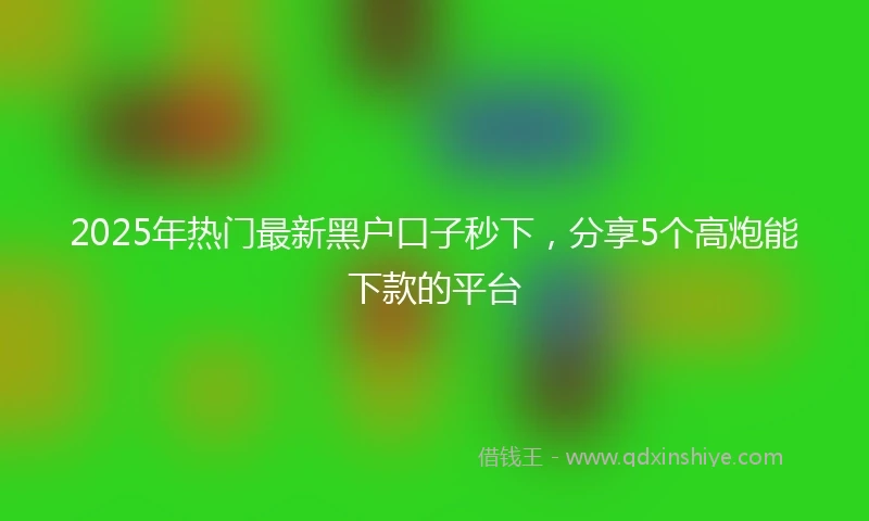 2025年热门最新黑户口子秒下，分享5个高炮能下款的平台