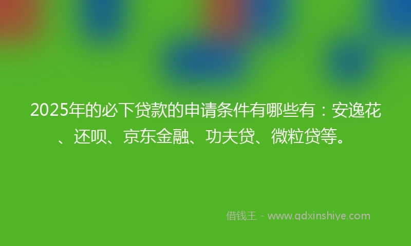 2025年的必下贷款的申请条件有哪些有：安逸花、还呗、京东金融、功夫贷、微粒贷等。
