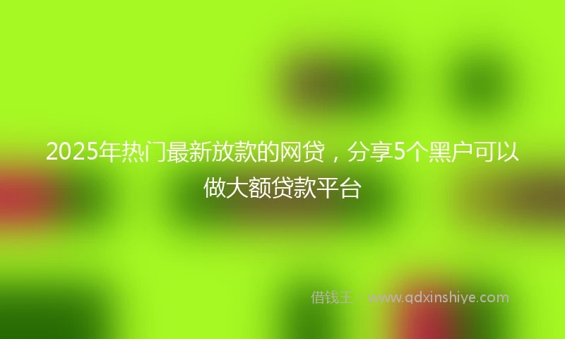 2025年热门最新放款的网贷，分享5个黑户可以做大额贷款平台