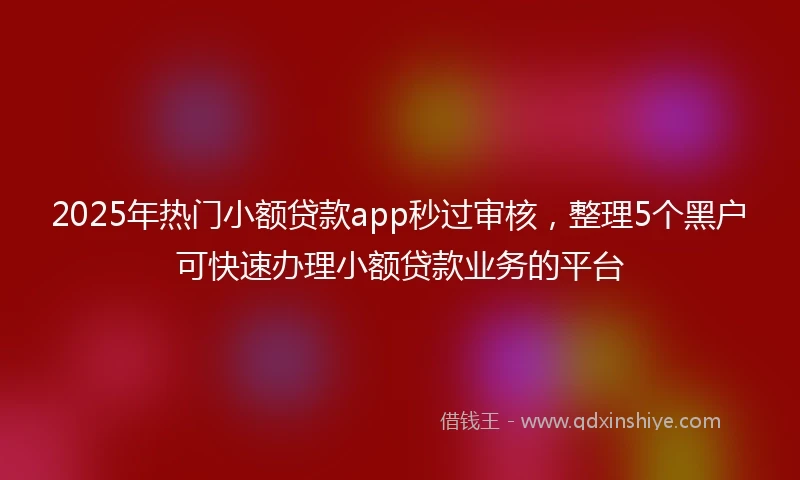 2025年热门小额贷款app秒过审核，整理5个黑户可快速办理小额贷款业务的平台