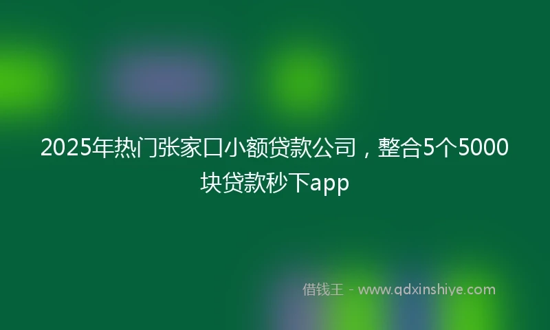 2025年热门张家口小额贷款公司，整合5个5000块贷款秒下app