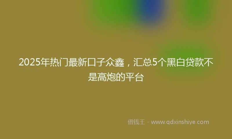 2025年热门最新口子众鑫，汇总5个黑白贷款不是高炮的平台