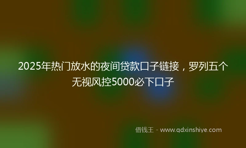 2025年热门放水的夜间贷款口子链接，罗列五个无视风控5000必下口子