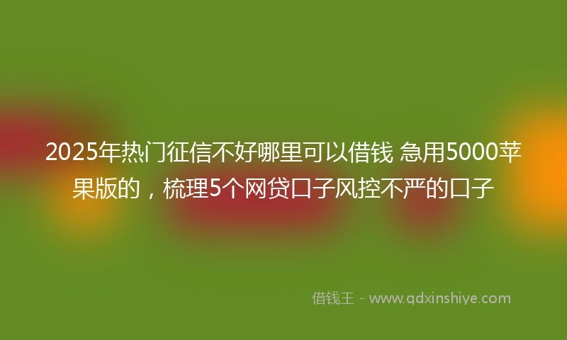 2025年热门征信不好哪里可以借钱 急用5000苹果版的，梳理5个网贷口子风控不严的口子