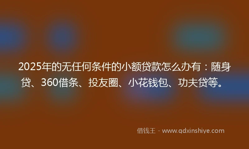 2025年的无任何条件的小额贷款怎么办有：随身贷、360借条、投友圈、小花钱包、功夫贷等。