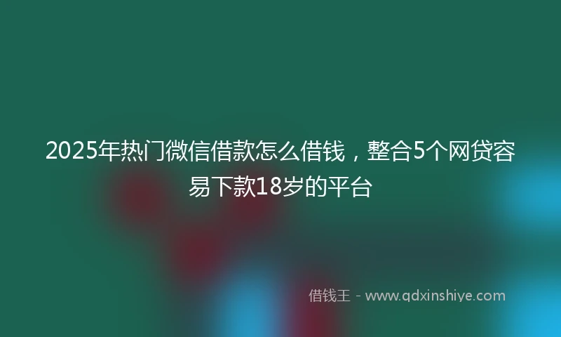 2025年热门微信借款怎么借钱，整合5个网贷容易下款18岁的平台