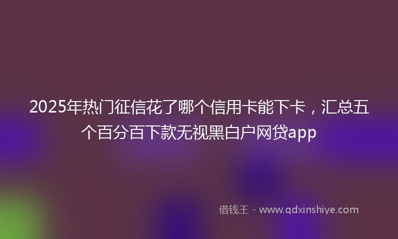 2025年热门征信花了哪个信用卡能下卡，汇总五个百分百下款无视黑白户网贷app