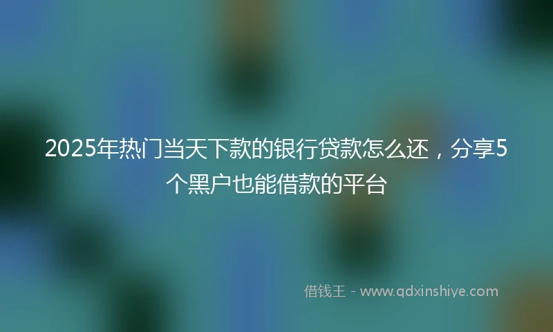 2025年热门当天下款的银行贷款怎么还，分享5个黑户也能借款的平台