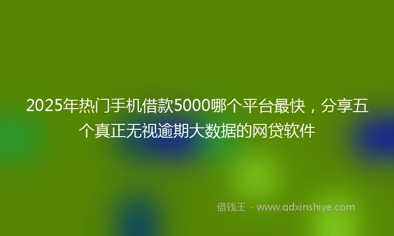 2025年热门手机借款5000哪个平台最快，分享五个真正无视逾期大数据的网贷软件