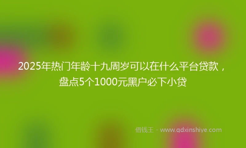 2025年热门年龄十九周岁可以在什么平台贷款，盘点5个1000元黑户必下小贷