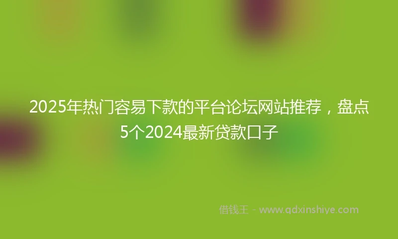 2025年热门容易下款的平台论坛网站推荐，盘点5个2024最新贷款口子