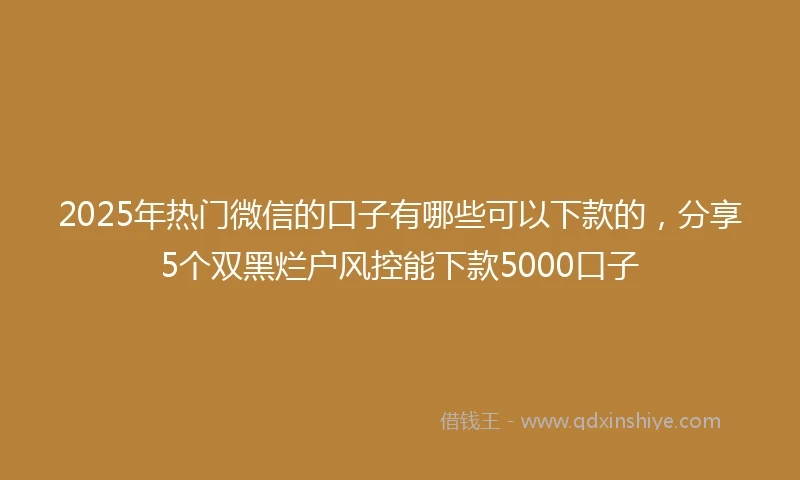 2025年热门微信的口子有哪些可以下款的，分享5个双黑烂户风控能下款5000口子