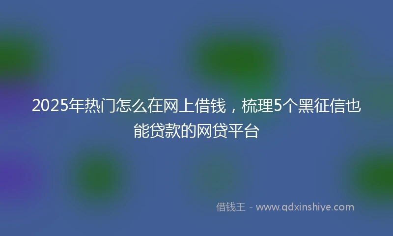 2025年热门怎么在网上借钱，梳理5个黑征信也能贷款的网贷平台
