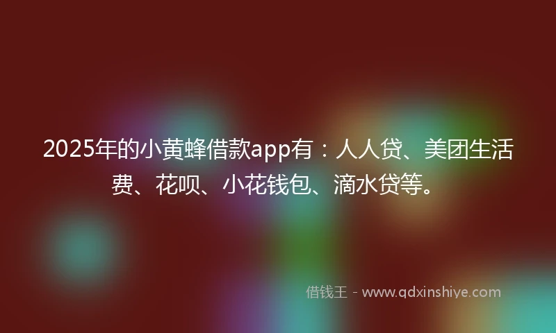 2025年的小黄蜂借款app有：人人贷、美团生活费、花呗、小花钱包、滴水贷等。
