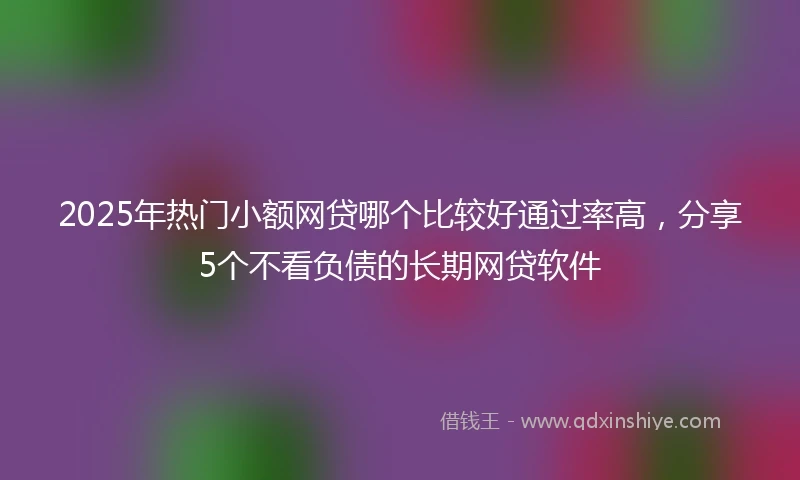 2025年热门小额网贷哪个比较好通过率高，分享5个不看负债的长期网贷软件