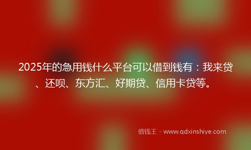 2025年的急用钱什么平台可以借到钱有：我来贷、还呗、东方汇、好期贷、信用卡贷等。