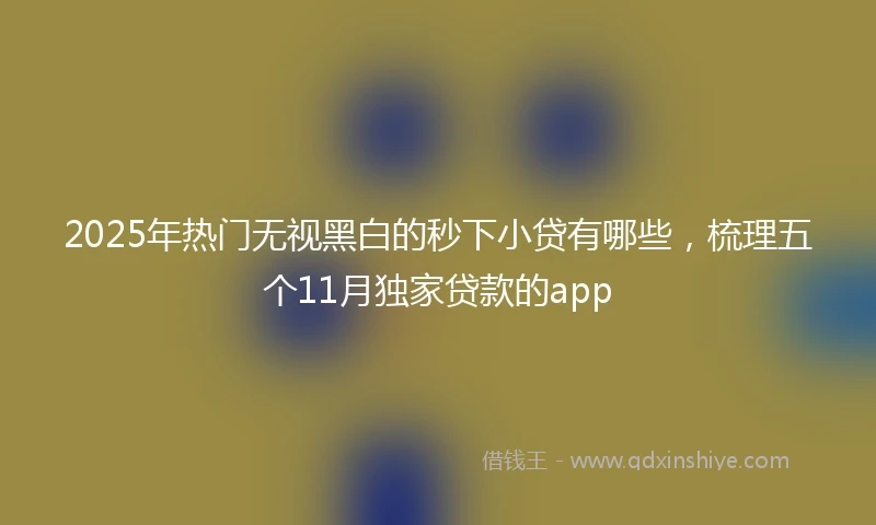2025年热门无视黑白的秒下小贷有哪些，梳理五个11月独家贷款的app