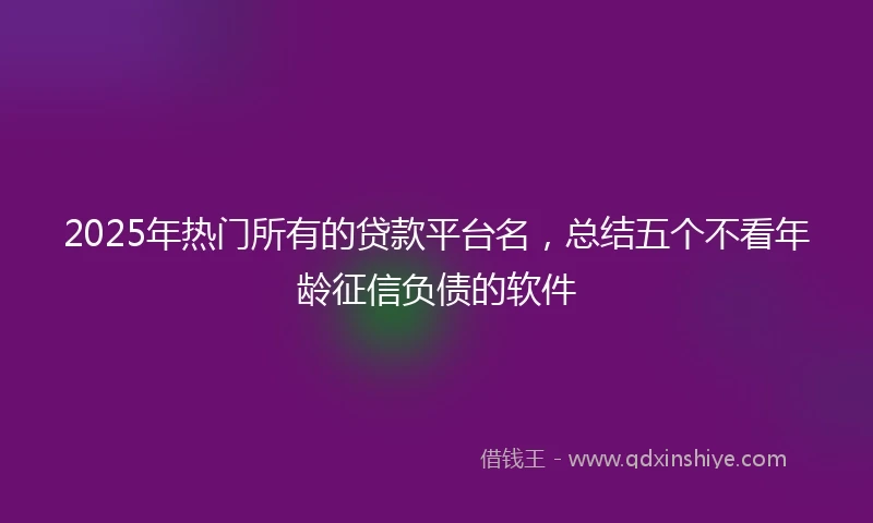 2025年热门所有的贷款平台名，总结五个不看年龄征信负债的软件