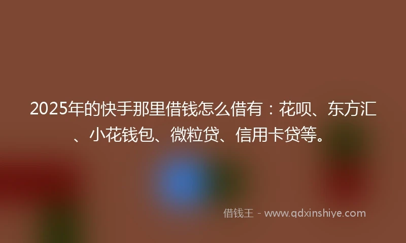 2025年的快手那里借钱怎么借有：花呗、东方汇、小花钱包、微粒贷、信用卡贷等。
