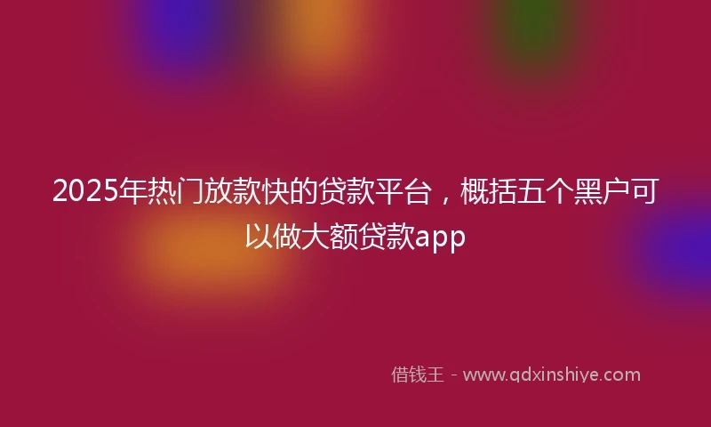 2025年热门放款快的贷款平台，概括五个黑户可以做大额贷款app