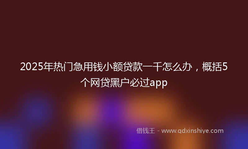 2025年热门急用钱小额贷款一千怎么办，概括5个网贷黑户必过app