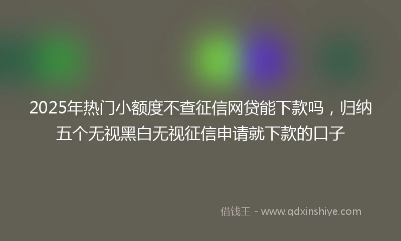 2025年热门小额度不查征信网贷能下款吗，归纳五个无视黑白无视征信申请就下款的口子