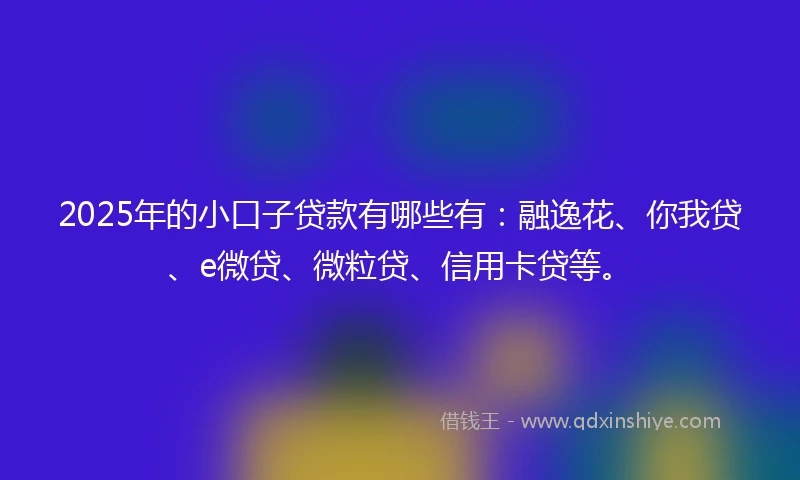 2025年的小口子贷款有哪些有：融逸花、你我贷、e微贷、微粒贷、信用卡贷等。
