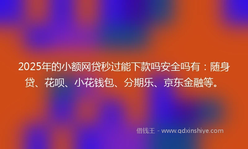 2025年的小额网贷秒过能下款吗安全吗有：随身贷、花呗、小花钱包、分期乐、京东金融等。