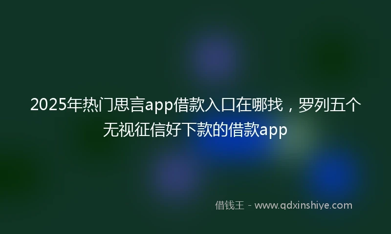 2025年热门思言app借款入口在哪找，罗列五个无视征信好下款的借款app
