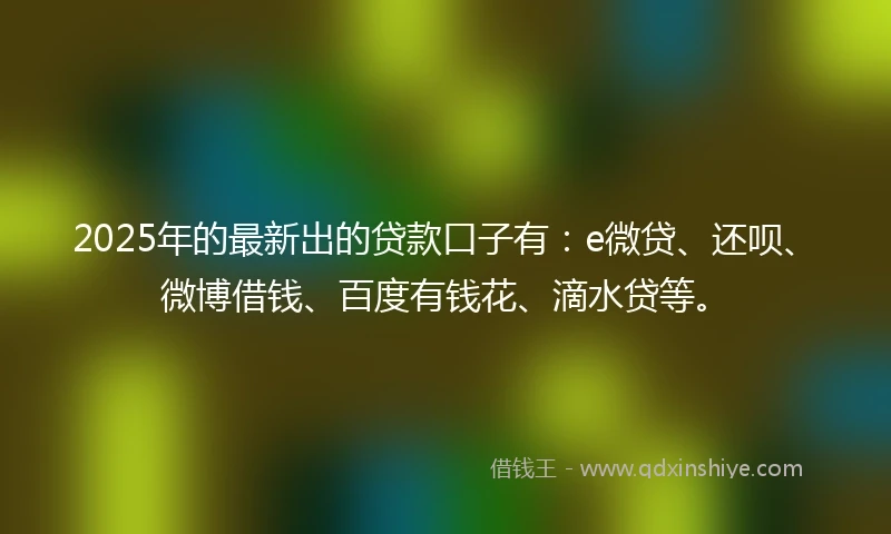 2025年的最新出的贷款口子有：e微贷、还呗、微博借钱、百度有钱花、滴水贷等。