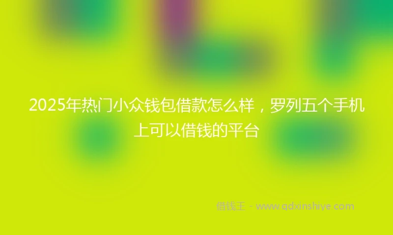 2025年热门小众钱包借款怎么样，罗列五个手机上可以借钱的平台
