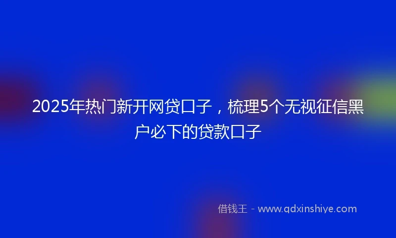 2025年热门新开网贷口子，梳理5个无视征信黑户必下的贷款口子