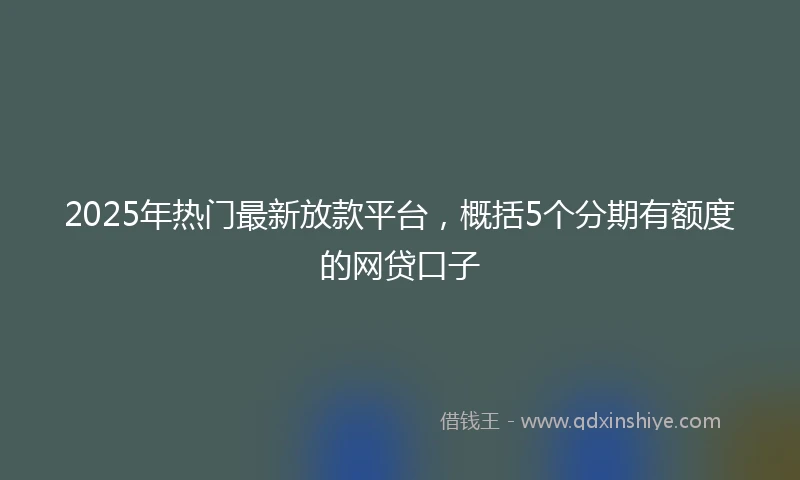2025年热门最新放款平台，概括5个分期有额度的网贷口子