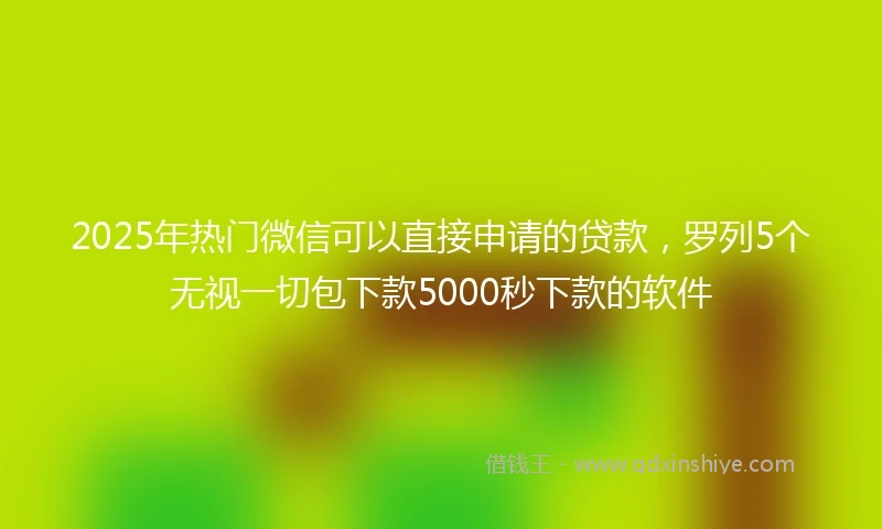 2025年热门微信可以直接申请的贷款，罗列5个无视一切包下款5000秒下款的软件