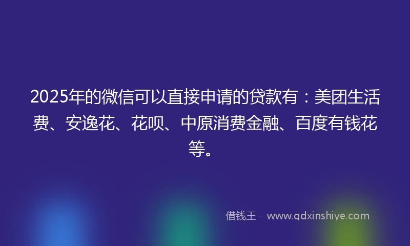 2025年的微信可以直接申请的贷款有：美团生活费、安逸花、花呗、中原消费金融、百度有钱花等。