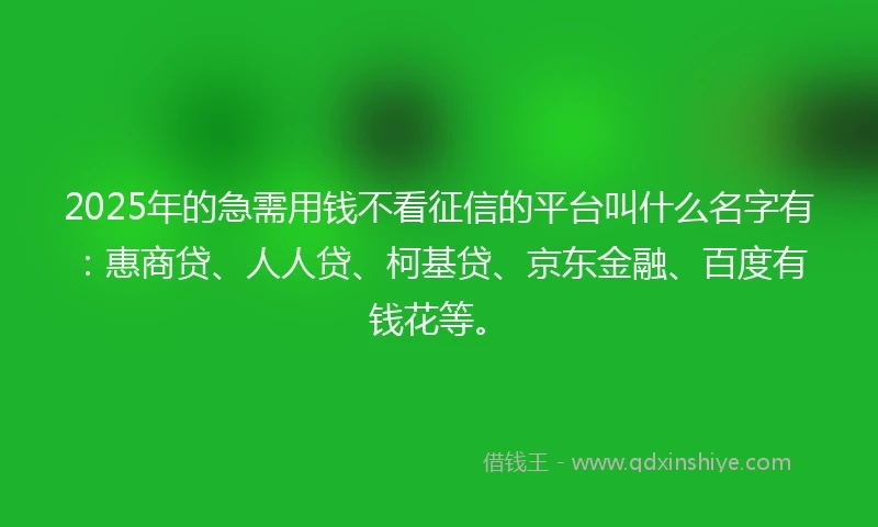 2025年的急需用钱不看征信的平台叫什么名字有：惠商贷、人人贷、柯基贷、京东金融、百度有钱花等。