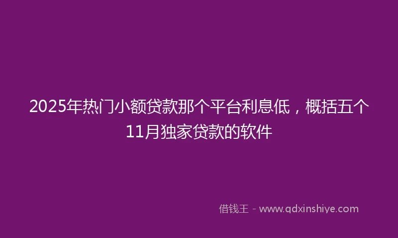 2025年热门小额贷款那个平台利息低，概括五个11月独家贷款的软件