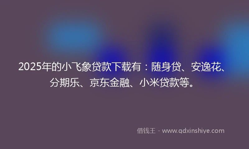 2025年的小飞象贷款下载有：随身贷、安逸花、分期乐、京东金融、小米贷款等。