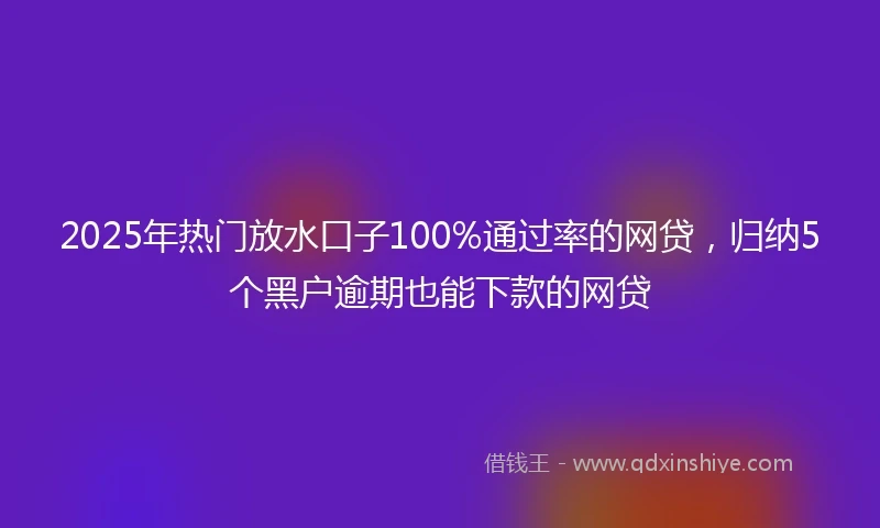 2025年热门放水口子100%通过率的网贷，归纳5个黑户逾期也能下款的网贷