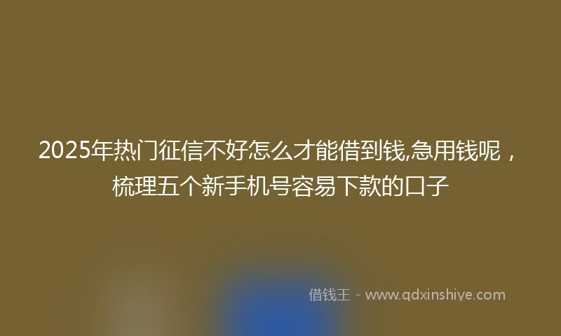 2025年热门征信不好怎么才能借到钱,急用钱呢，梳理五个新手机号容易下款的口子