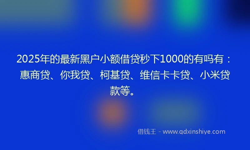 2025年的最新黑户小额借贷秒下1000的有吗有：惠商贷、你我贷、柯基贷、维信卡卡贷、小米贷款等。
