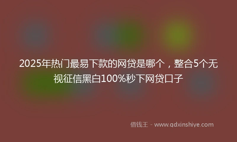 2025年热门最易下款的网贷是哪个，整合5个无视征信黑白100%秒下网贷口子