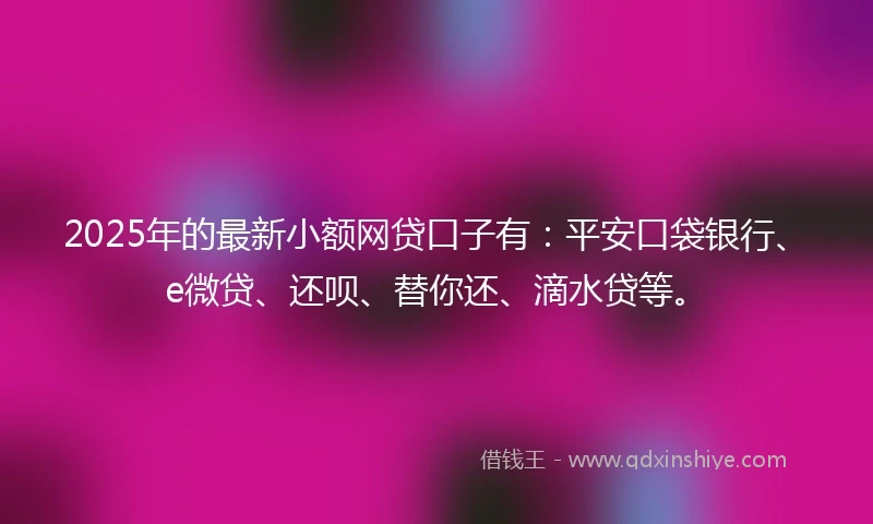 2025年的最新小额网贷口子有：平安口袋银行、e微贷、还呗、替你还、滴水贷等。