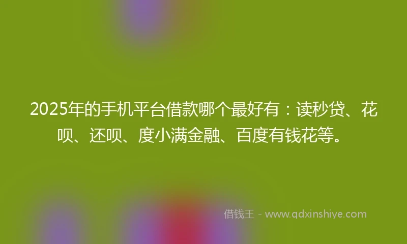 2025年的手机平台借款哪个最好有：读秒贷、花呗、还呗、度小满金融、百度有钱花等。