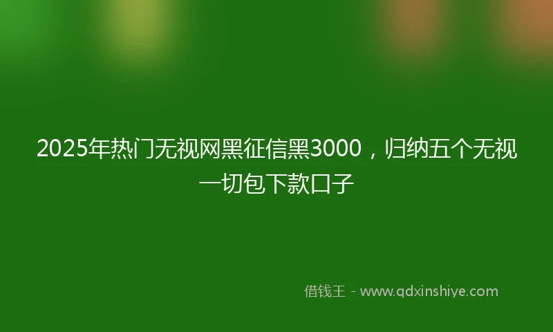 2025年热门无视网黑征信黑3000，归纳五个无视一切包下款口子