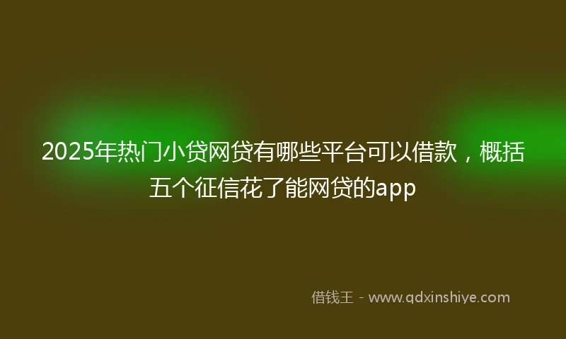 2025年热门小贷网贷有哪些平台可以借款，概括五个征信花了能网贷的app
