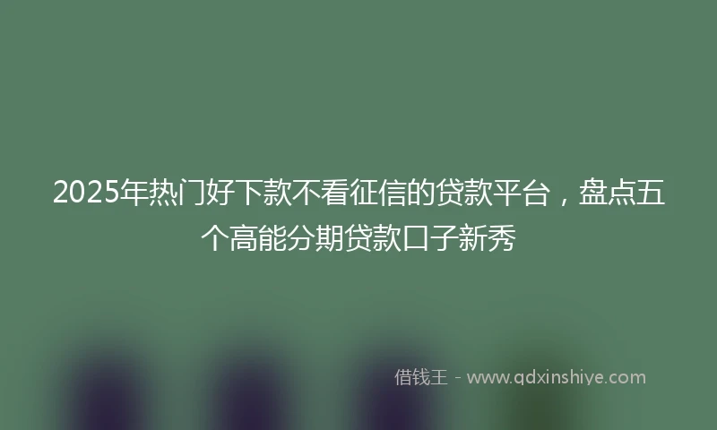 2025年热门好下款不看征信的贷款平台，盘点五个高能分期贷款口子新秀