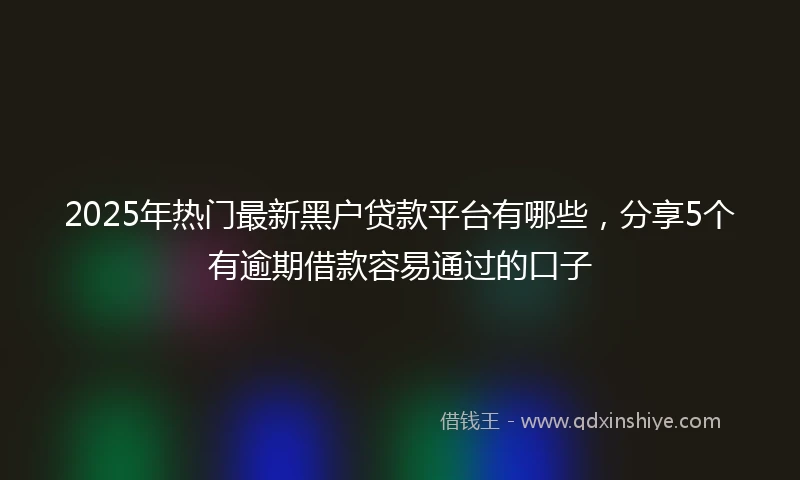 2025年热门最新黑户贷款平台有哪些，分享5个有逾期借款容易通过的口子