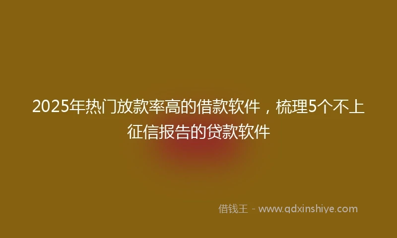 2025年热门放款率高的借款软件，梳理5个不上征信报告的贷款软件